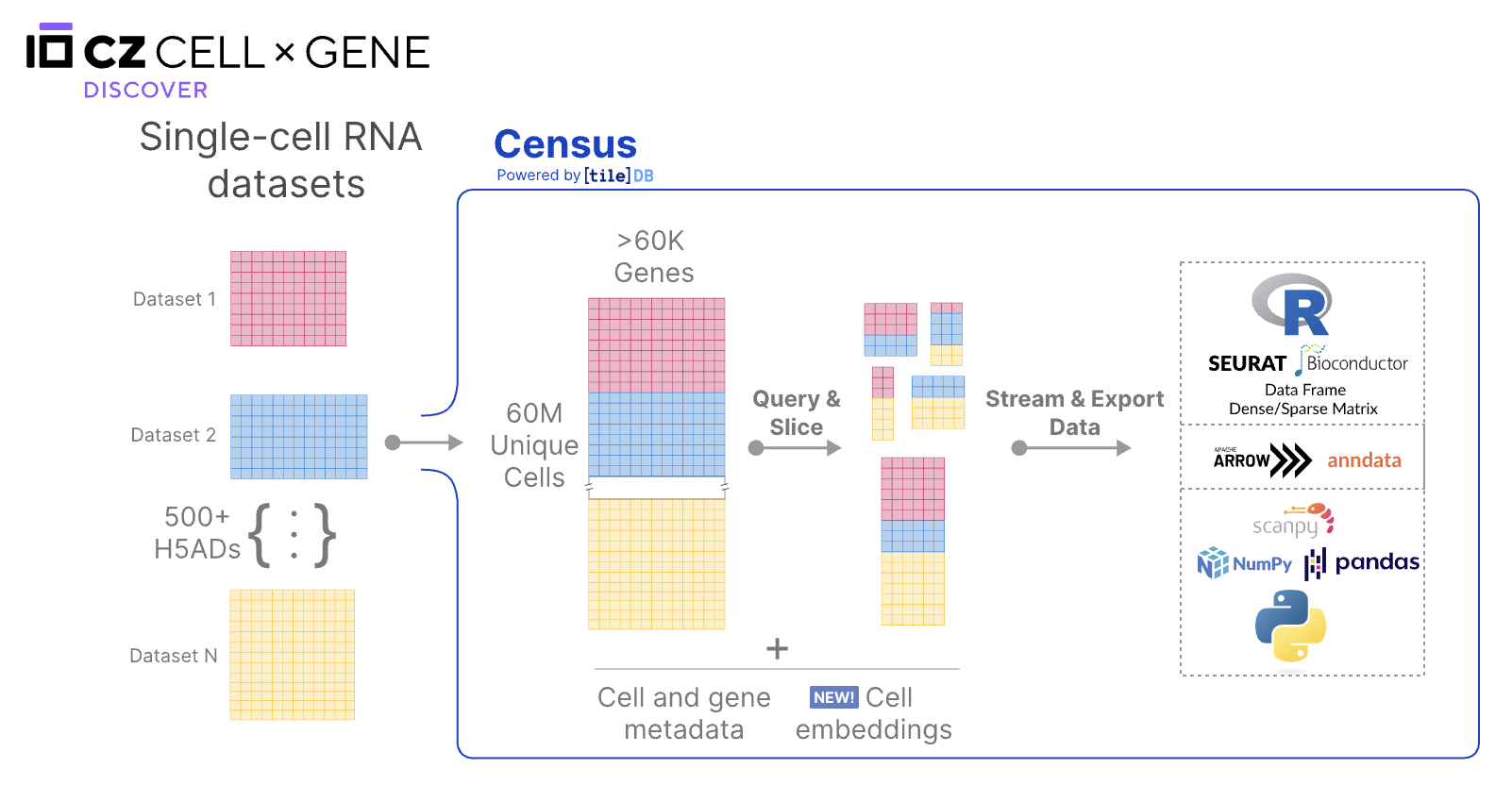 CellXgene Census
